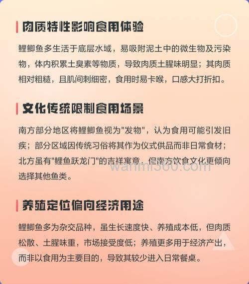 鲤鲫鱼为什么没人吃鲤鲫鱼