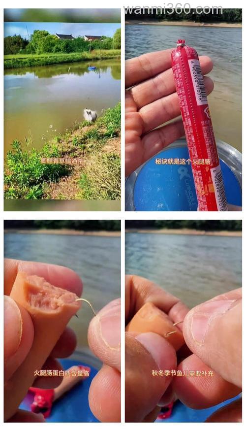 火腿肠钓鱼绝密配方?