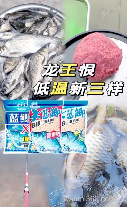 龙王恨新三样饵料评测？