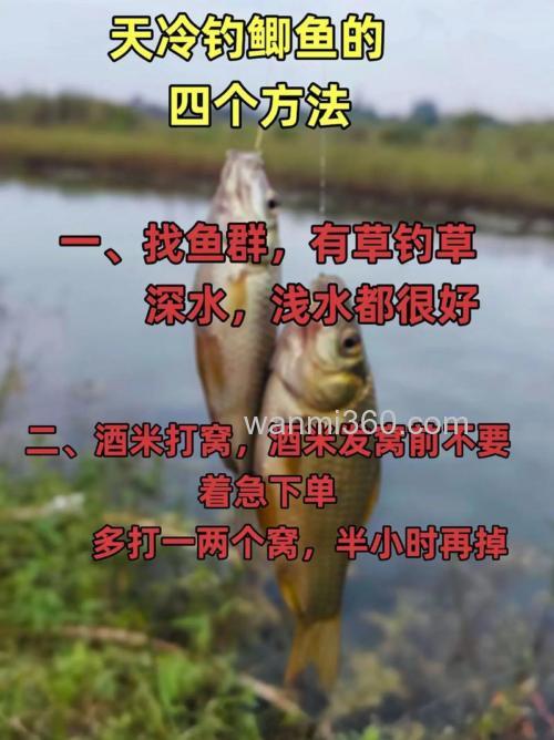秋季野钓钓大板鲫鱼技巧