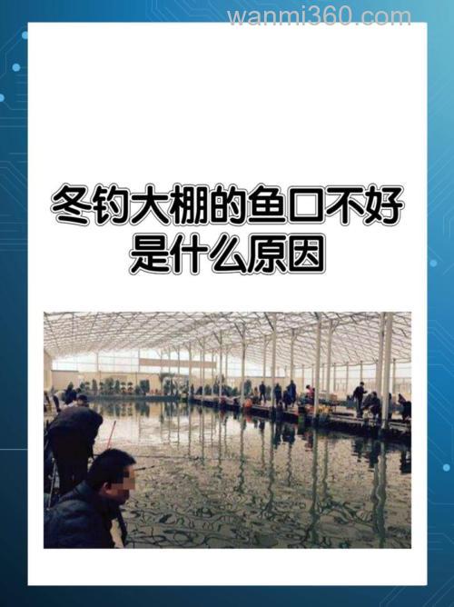 冬天钓鱼鱼口太差怎么办?