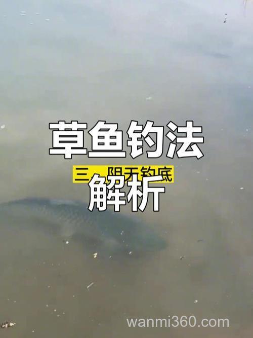 从实战的角度告诉你钓草鱼是钓底还是钓浮