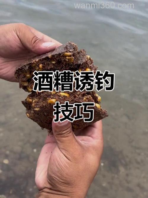 啤酒糟做窝钓鱼效果好吗?