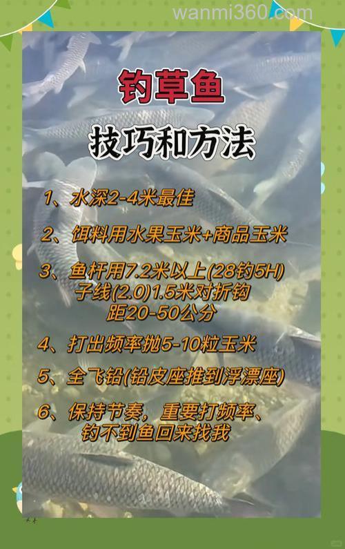 钓大草鱼技巧分享