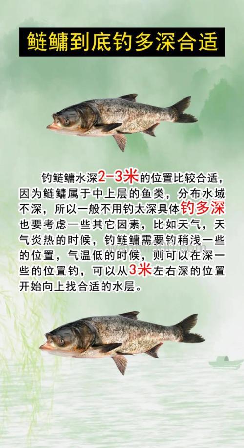 深秋海竿钓鲢鳙钓多深?