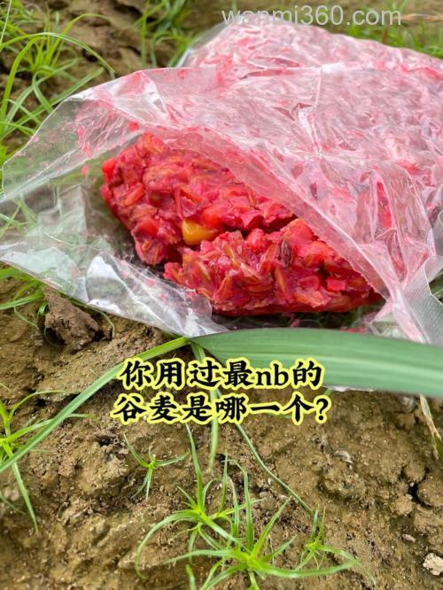 钓友公认十款最好谷麦?