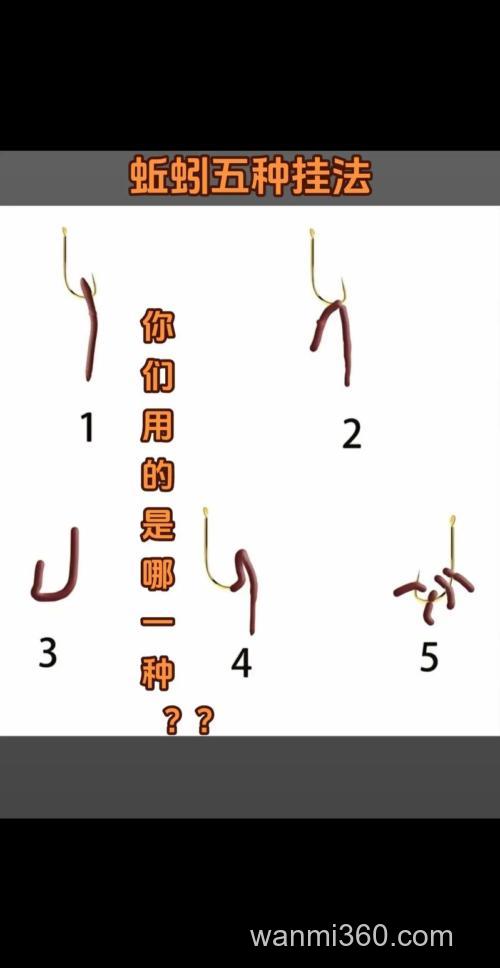黄辣丁挂蚯蚓正确方法？