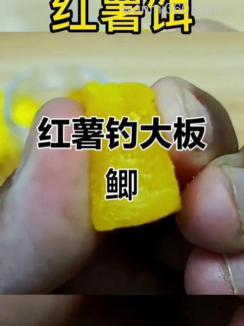 红薯钓青鱼效果好吗?