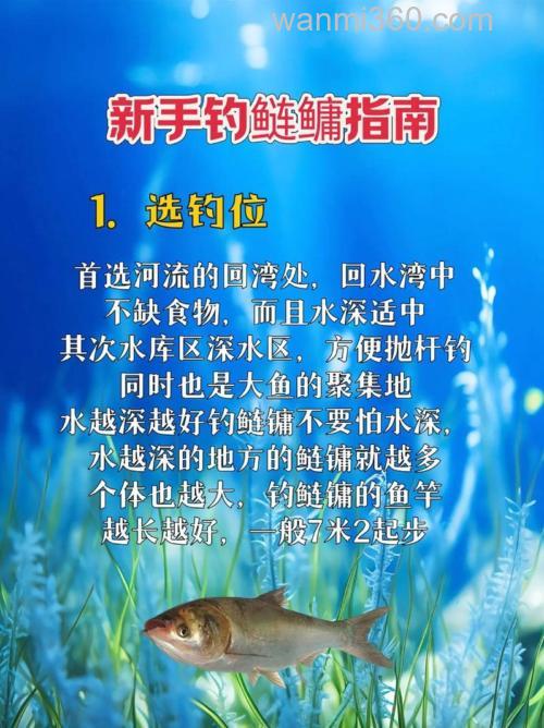 作为钓鱼人必须要先了解鲢鳙的习性好钓鱼