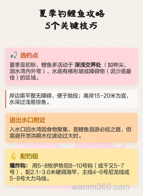 夏季怎样钓鲤鱼