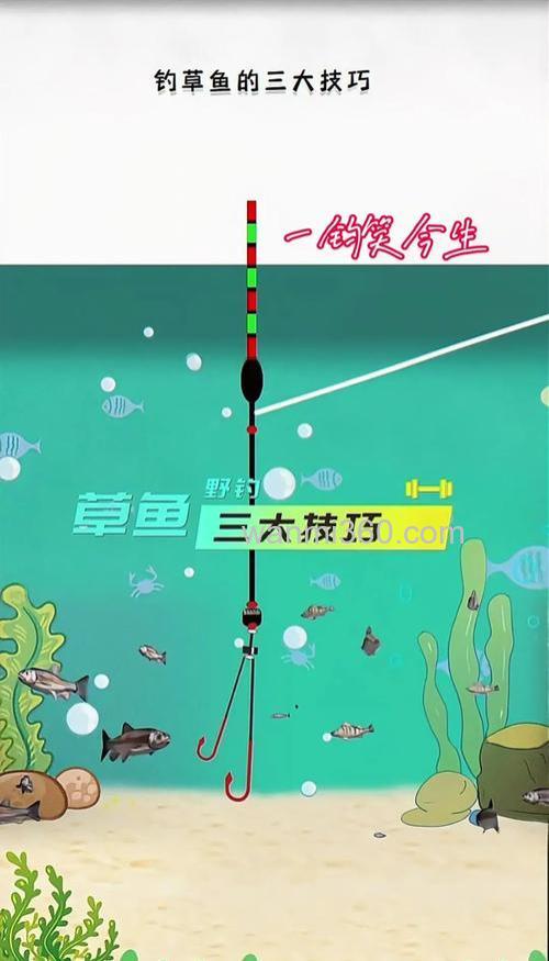 饵料钓草鱼子线长度和钩距?