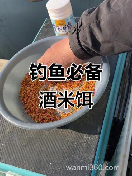 水库钓鲤鱼,稻谷用酒曲发酵打窝怎么做?