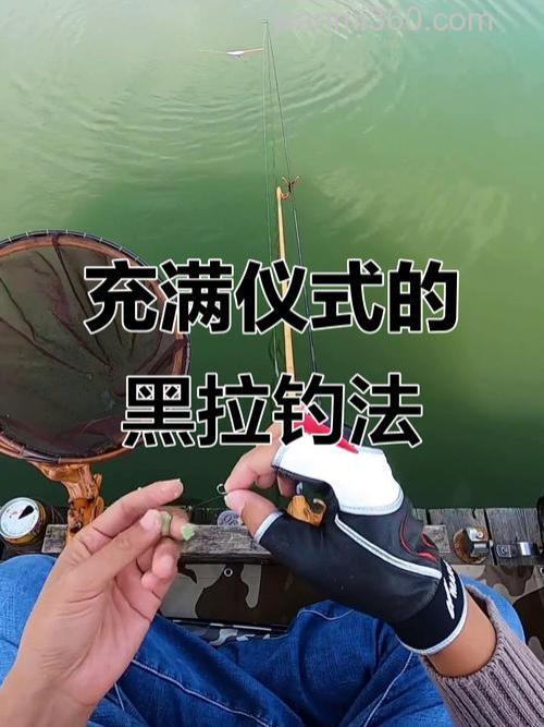 传统钓如何垂钓黑鱼?