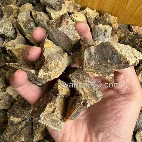 阿魏泡酒米的正确方法?