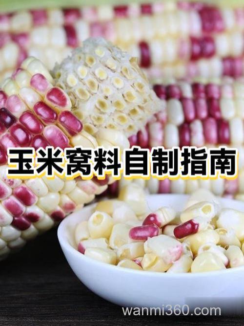 怎样用玉米做打窝料?