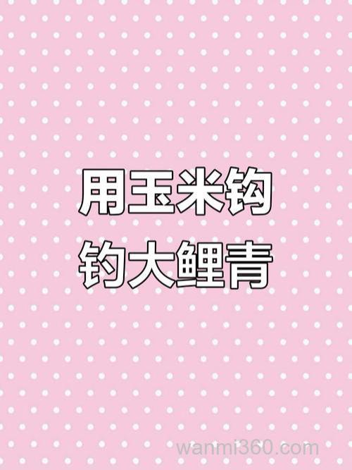 钓鱼:玉米钓鲤鱼草鱼,效果好到爆,你真的会用么