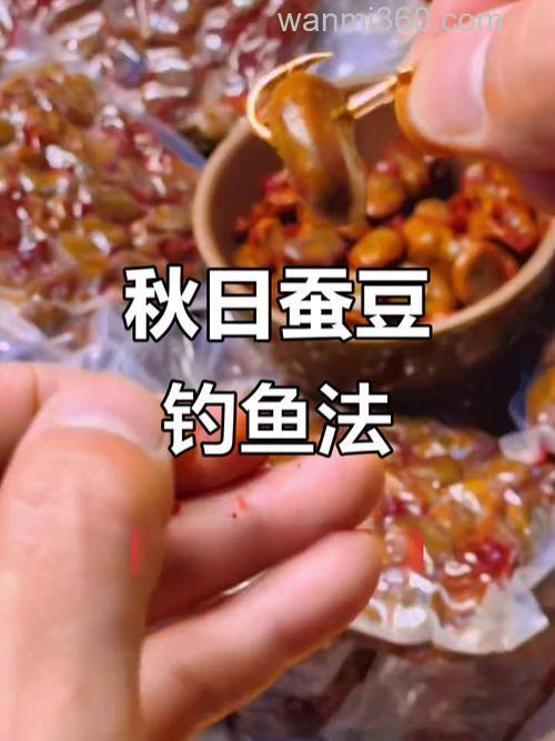 蚕豆钓乌青制作方法?
