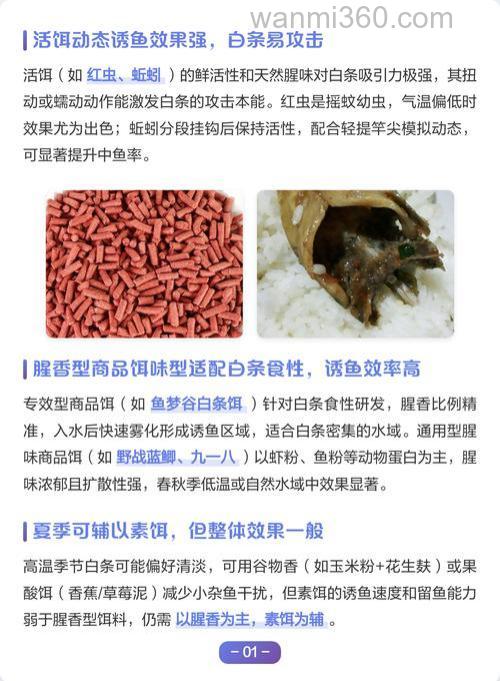 钓白条用什么味的饵料最快最好?