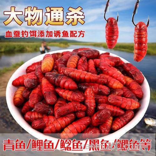 钓鲶鱼的血饵配方?