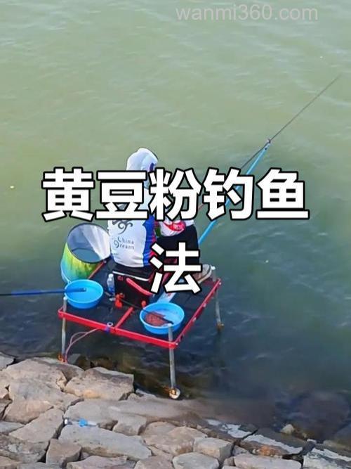 黄豆粉怎么用钓鲫鱼最好？