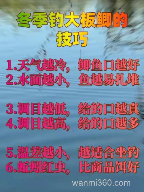 这几点技能必须助你冬季野钓大板鲫