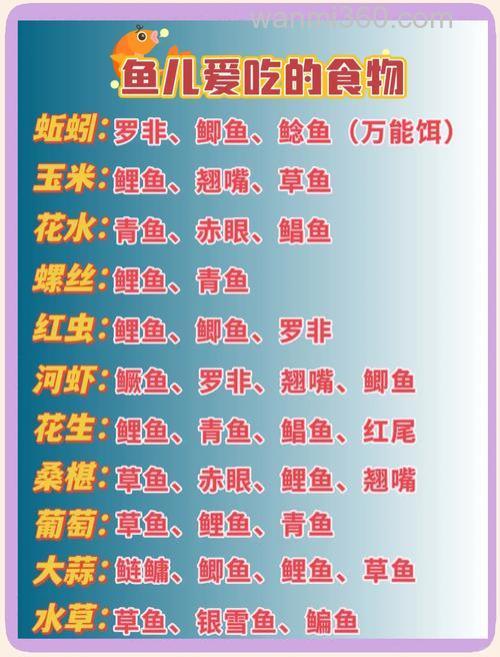 鲤鱼最喜欢的鱼饵是什么?
