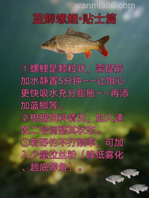 蓝鲫和螺鲤谁厉害?