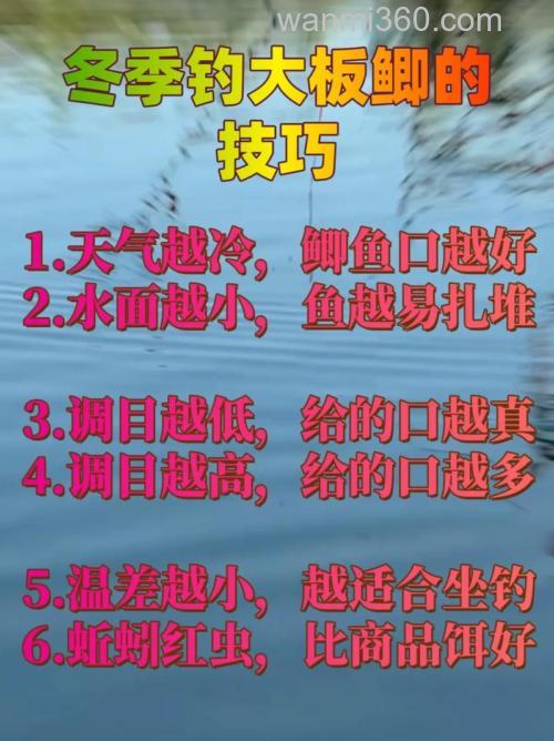 冬季阴天如何作钓大板鲫