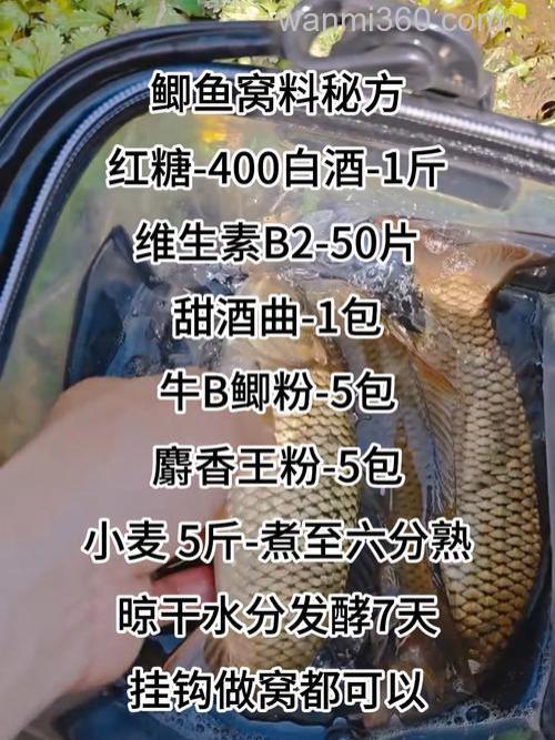 野钓大鲫鱼用什么做窝料