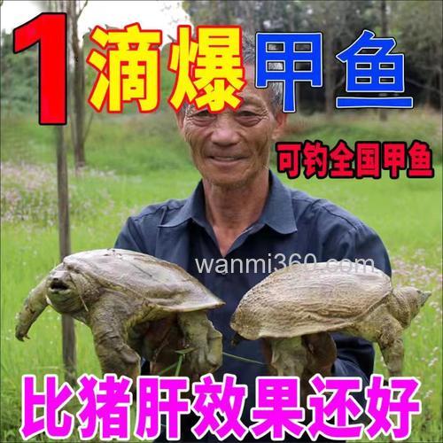 钓甲鱼专用饵料?