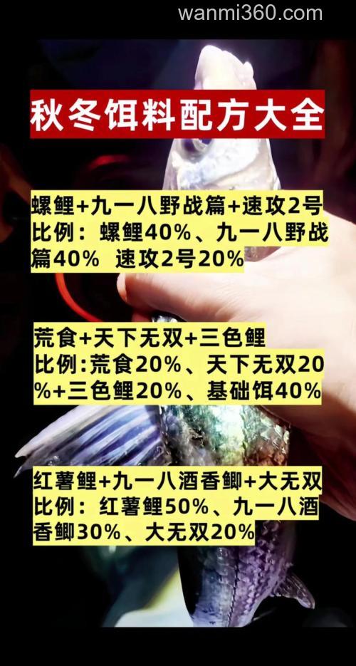 秋季钓鲫鱼饵料配方