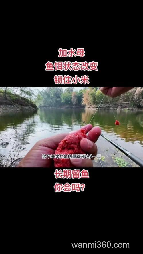 初秋野钓鲫鱼技巧