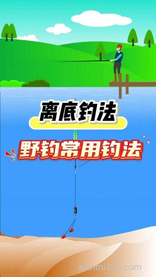 池塘野钓技巧