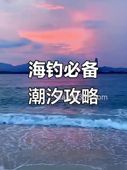 海边钓鱼涨潮好钓还是退潮好钓?