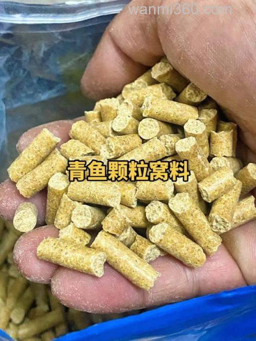 青根鱼饵料?