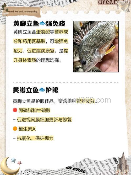 黄脚立鱼价格、营养与功效全解析