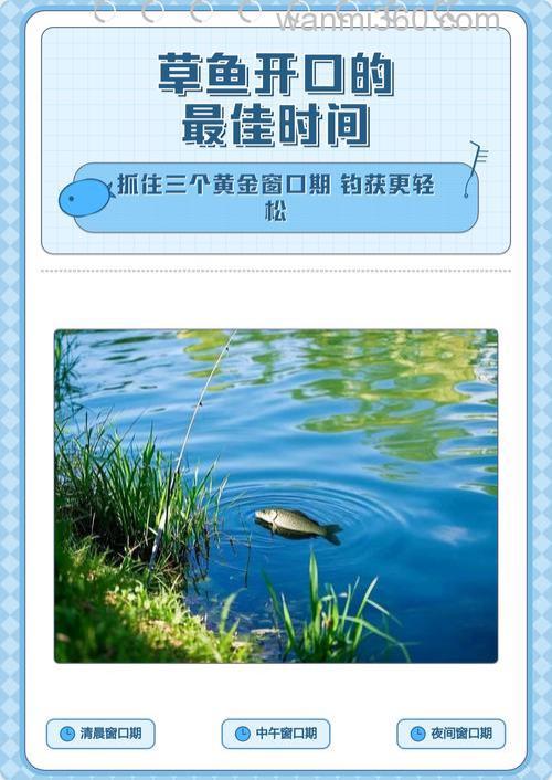草鱼一天最佳开口时间表
