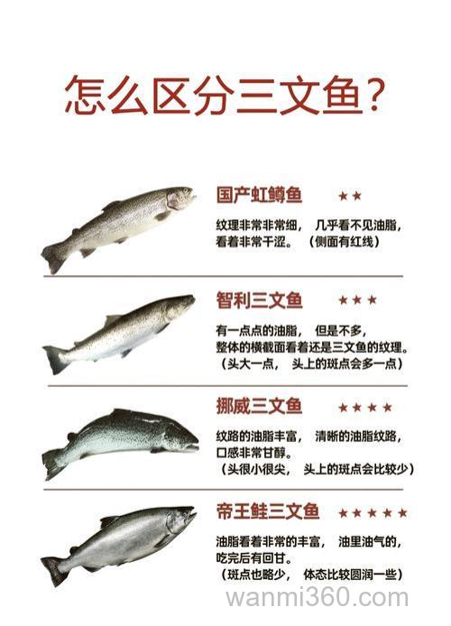 鲑鱼是什么鱼?鲑鱼是三文鱼吗?