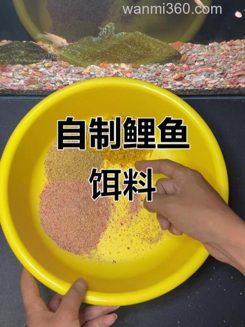 夏季自制钓鲤鱼饵