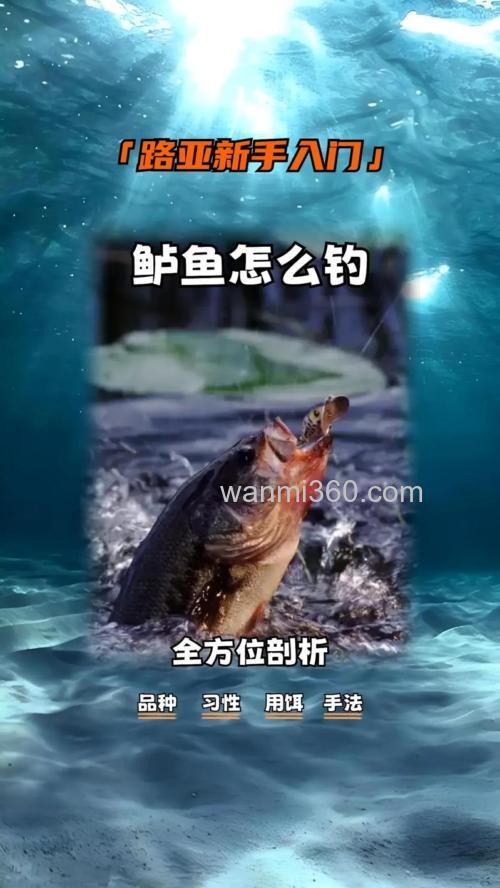 怎么钓鲈鱼容易中鱼?