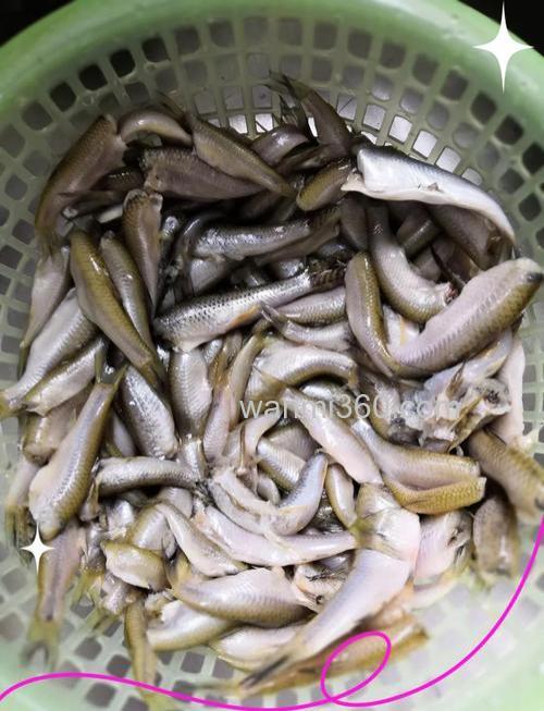 对付小杂鱼的几种方法