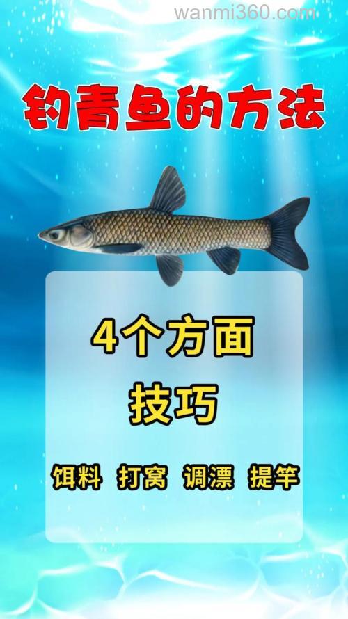 特效钓青鱼土方法是什么?