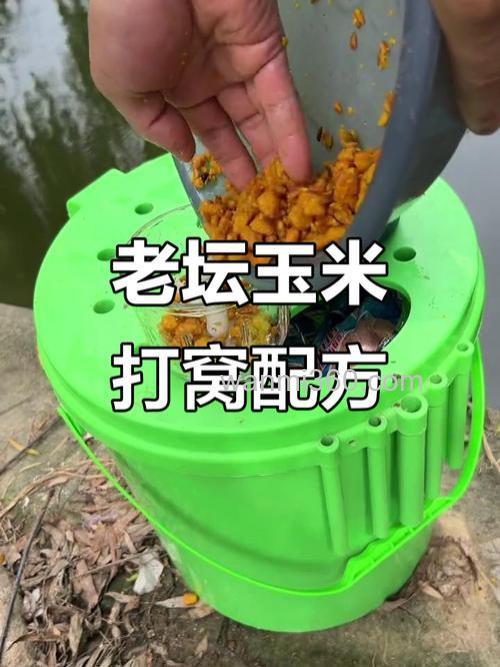 老坛玉米可以和嫩玉米一起打窝吗?