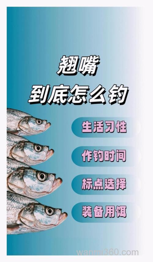 请教高手浮钓翘嘴的饵料配方