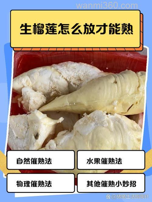 榴莲引小虫用什么办法好