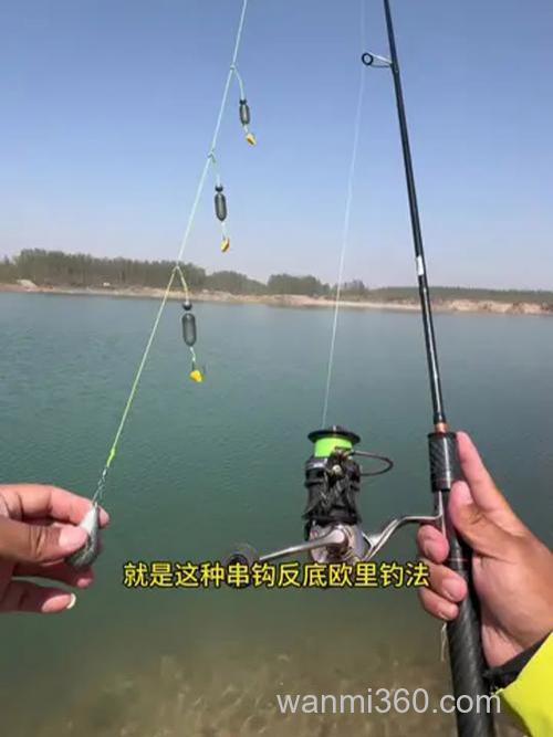 海杆串钩怎样钓鲤鱼 用什么饵料