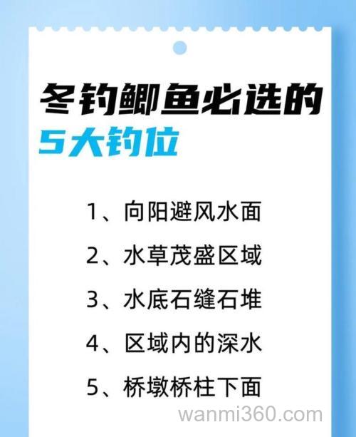 夏季难钓鲫鱼的几点原因分析