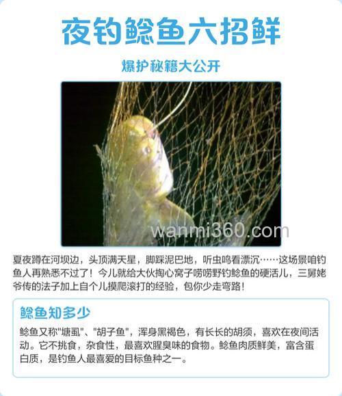 夜钓鲶鱼绝招是什么?