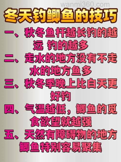 冬钓鲫鱼的正确方法与技巧有哪些？