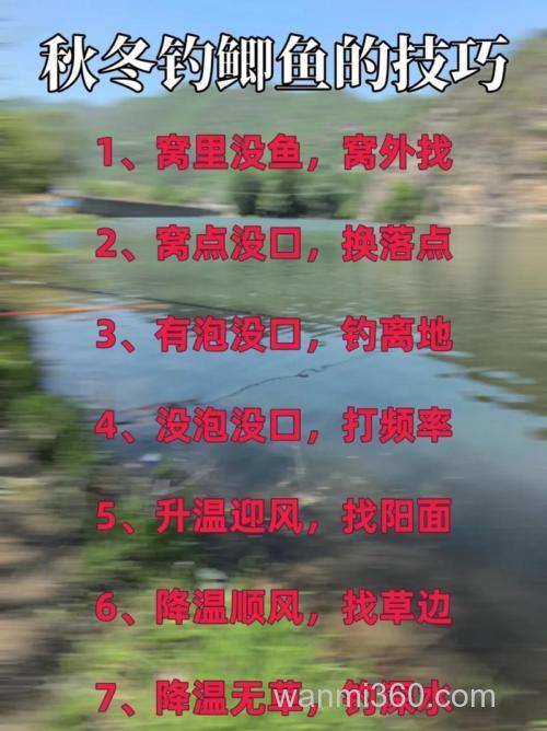 春夏秋冬垂钓鲫鱼技巧